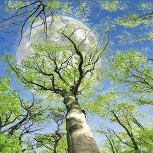 Meet your Posher, Fredy